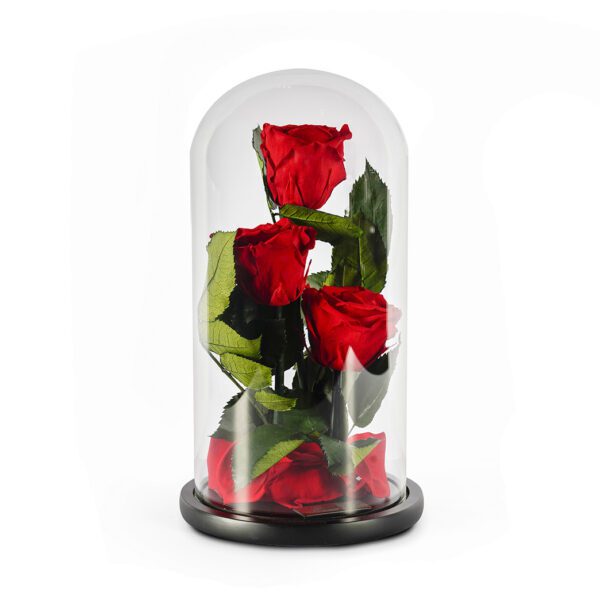 A Symbol of Elegance: Forever Roses Dubai