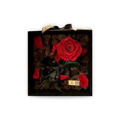 Preserved Rose In A Square Box