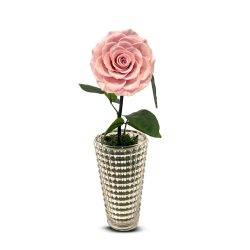 Preserved Rose  In A Layered Vase – Single